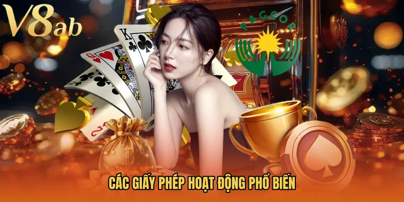 Các giấy phép hoạt động phổ biến