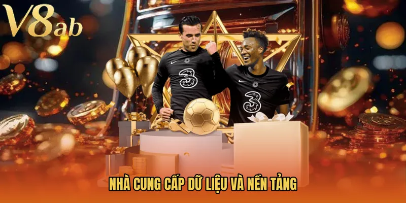 Nhà cung cấp dữ liệu và nền tảng