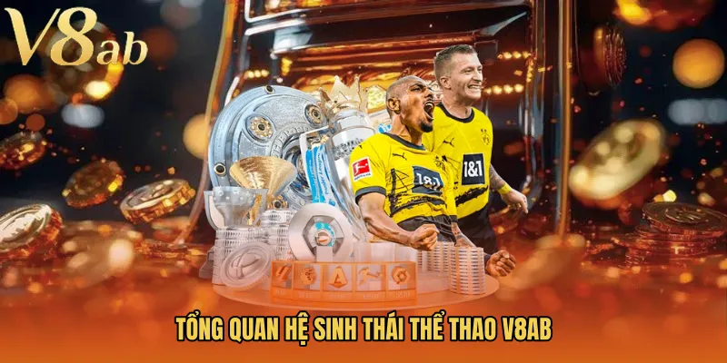 Tổng quan hệ sinh thái thể thao V8AB