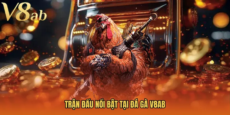 Trận đấu nổi bật tại Đá gà V8AB